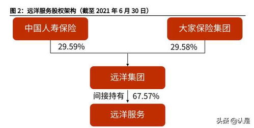 遠(yuǎn)洋服務(wù)研究報告 品質(zhì)立身,中高端服務(wù)優(yōu)勢凸顯