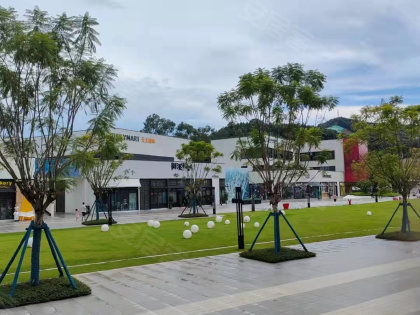 省紡織廠宿舍居住體驗全解析 優勢、不足、物管與周邊中介評價